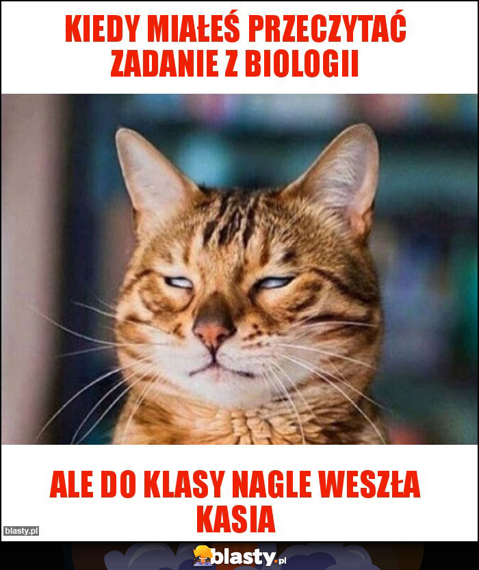 Kiedy miałeś przeczytać zadanie z biologii