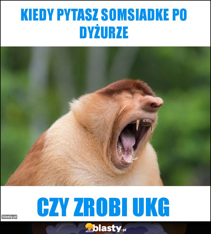 Kiedy pytasz somsiadke po dyżurze