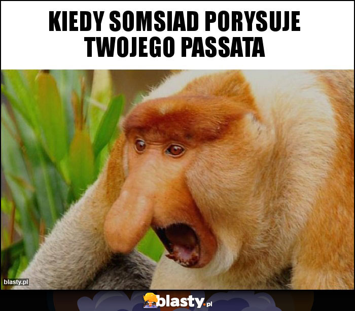 KIEDY SOMSIAD PORYSUJE TWOJEGO PASSATA