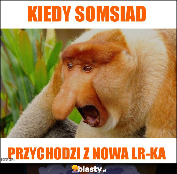 Kiedy somsiad