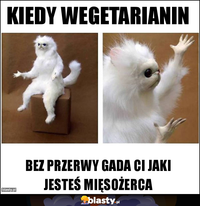 kiedy wegetarianin