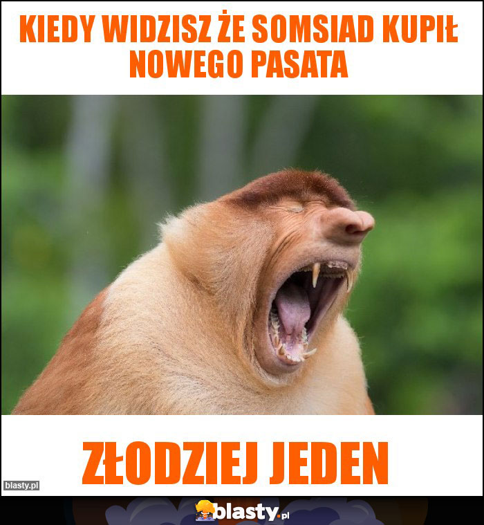 KIEDY WIDZISZ ŻE SOMSIAD KUPIŁ NOWEGO PASATA