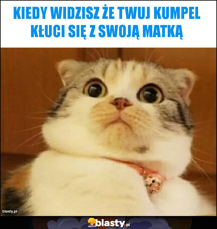 kiedy widzisz że twuj kumpel kłuci się z swoją matką