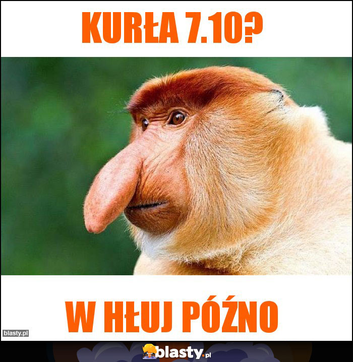 Kurła 7.10?