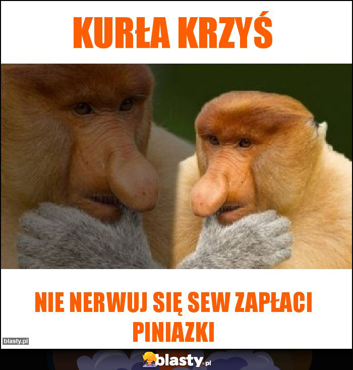 Kurła Krzyś