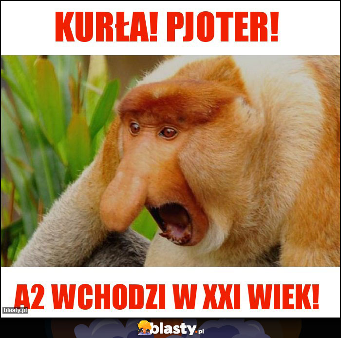 Kurła! Pjoter!