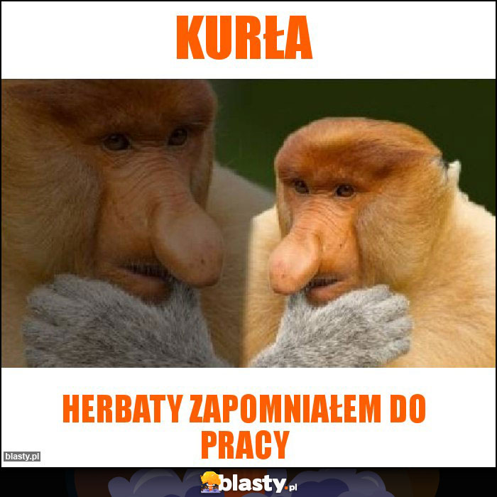 Kurła