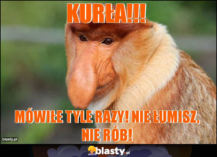 KURŁA!!!