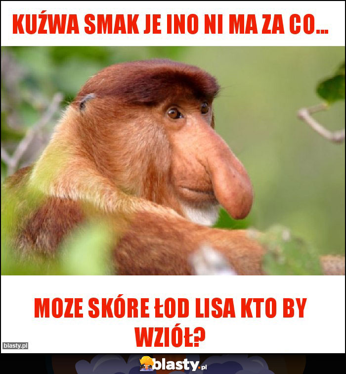 Kuźwa Smak je ino ni ma za co...