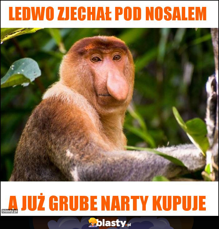 Ledwo zjechał pod nosalem