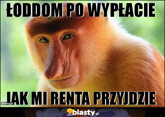 łoddom po wypłacie