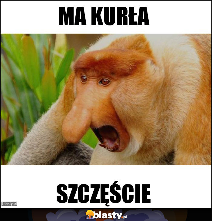 Ma kurła