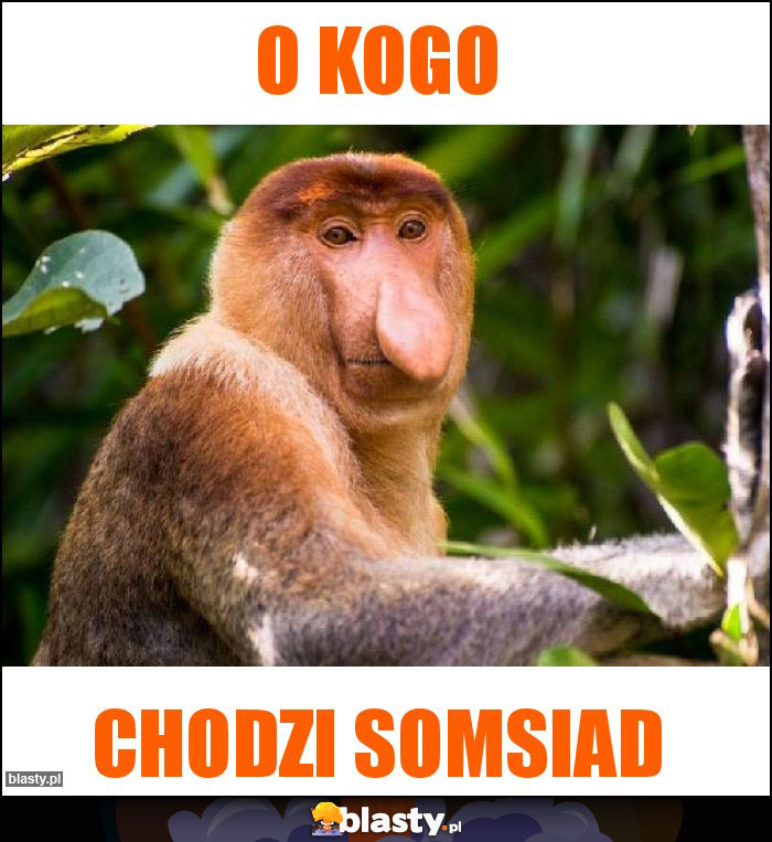 o kogo