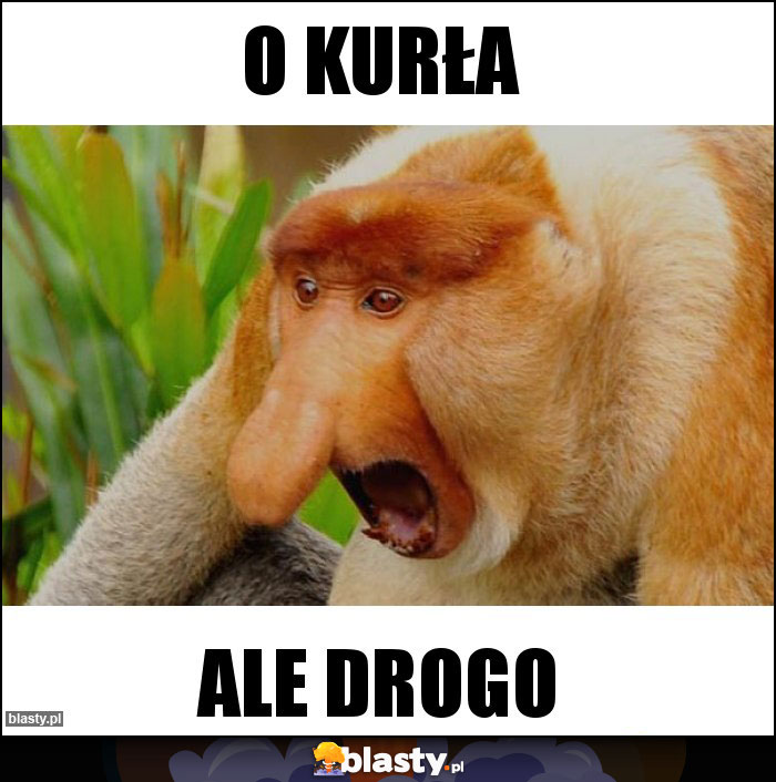 O kurła