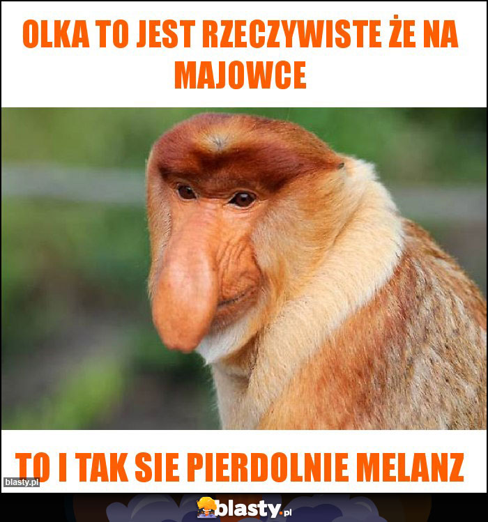 Olka to jest rzeczywiste że na majowce