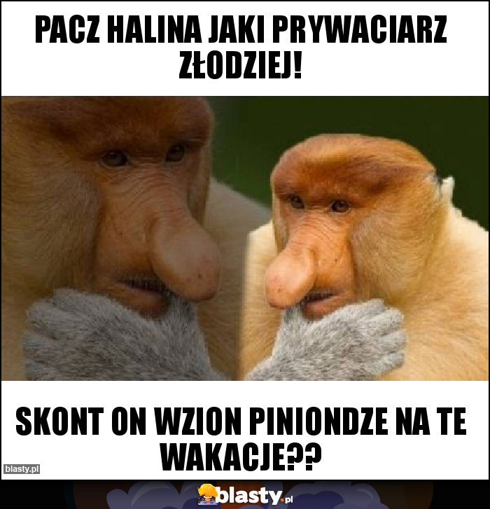 PACZ HALINA JAKI PRYWACIARZ ZŁODZIEJ!