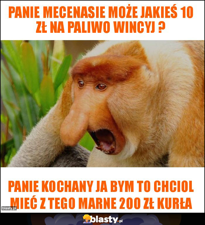 Panie Mecenasie może jakieś 10 zł na paliwo wincyj ?