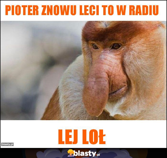 pioter znowu leci to w radiu