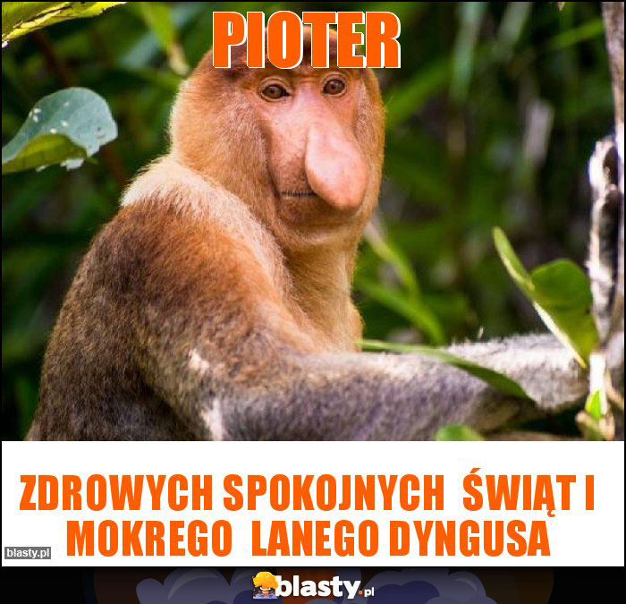 Pioter