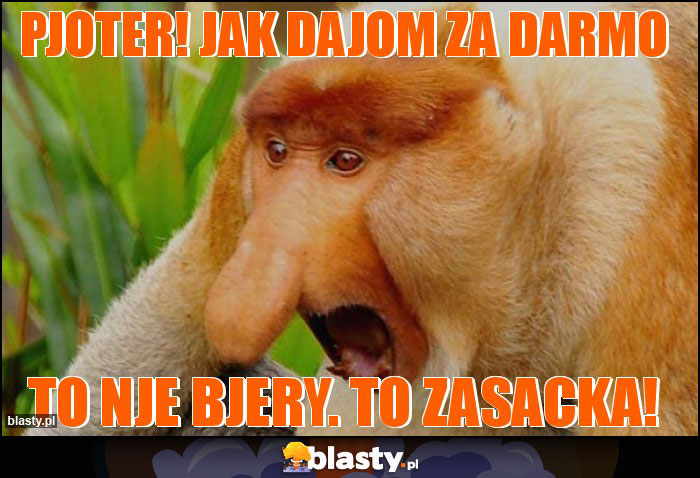 Pjoter! Jak dajom za darmo