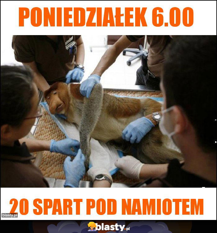 Poniedziałek 6.00