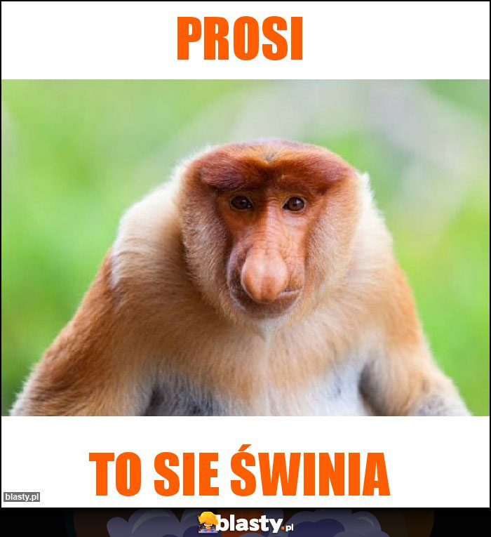 Prosi