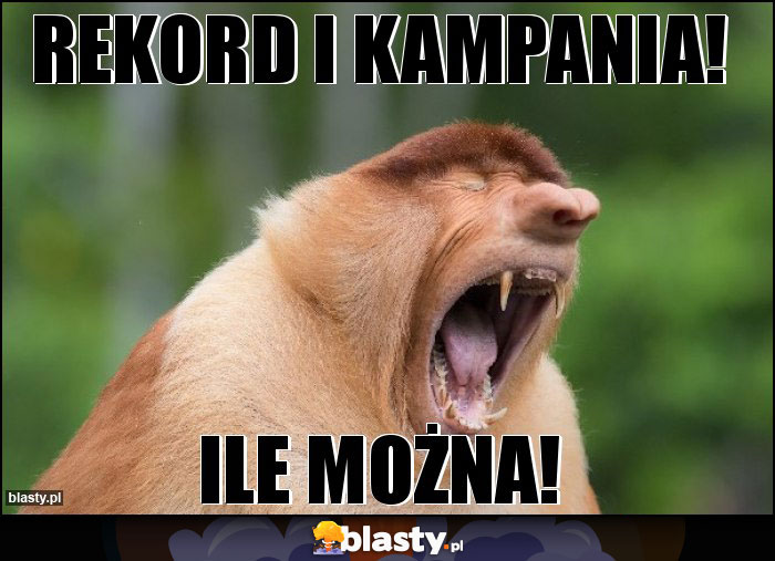 REKORD i KAMPANIA!