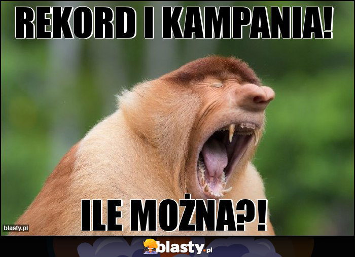 REKORD i KAMPANIA!