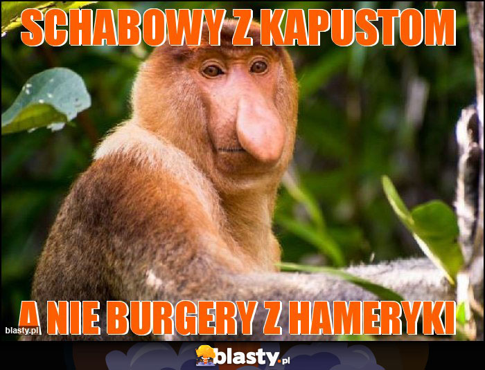 SCHABOWY Z KAPUSTOM