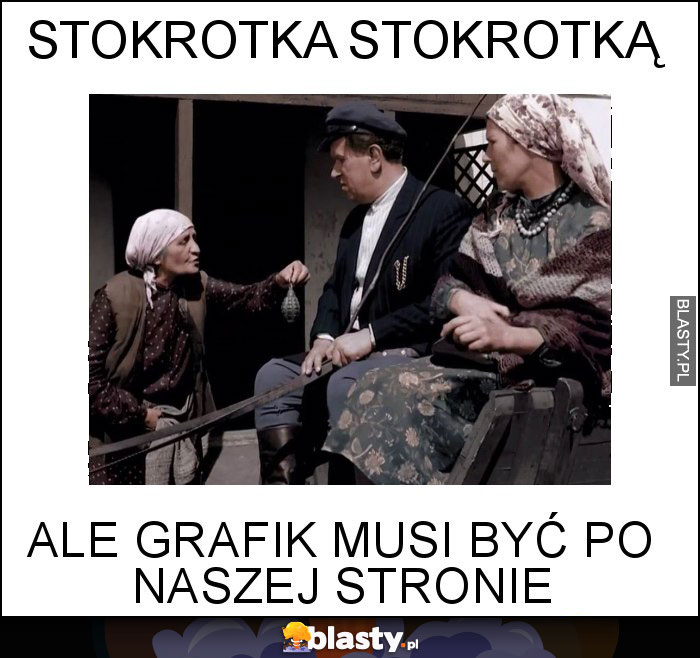 Stokrotka stokrotką