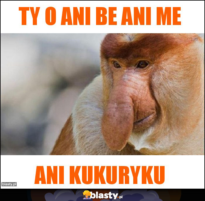 TY o ani be ani me