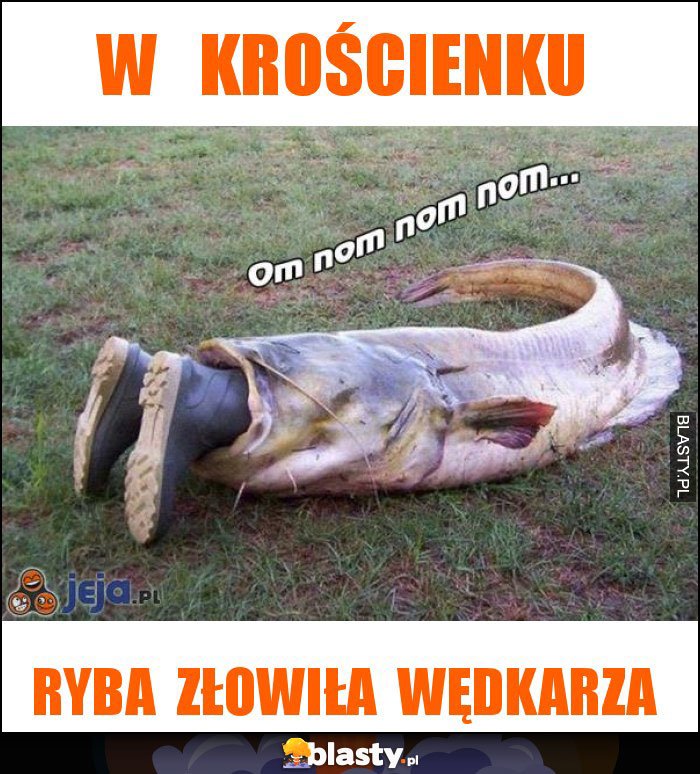 w   krościenku