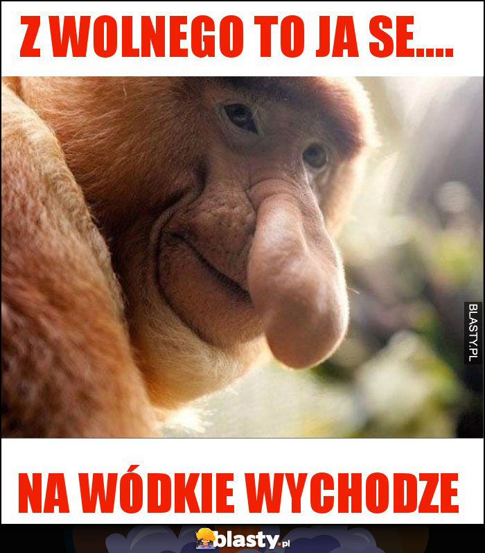 Z wolnego to ja se....