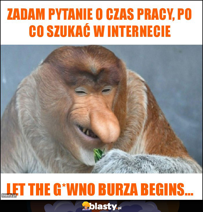 Zadam pytanie o czas pracy, po co szukać w internecie