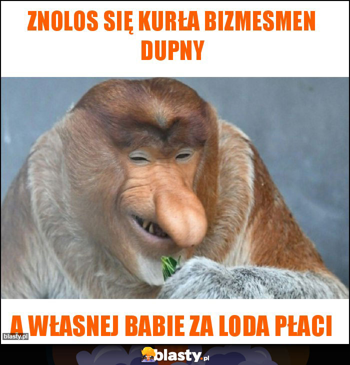 Znolos się kurła bizmesmen dupny