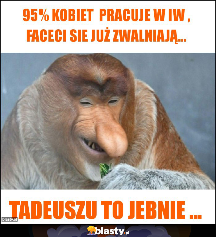 95% kobiet  pracuje w IW , faceci sie już zwalniają...