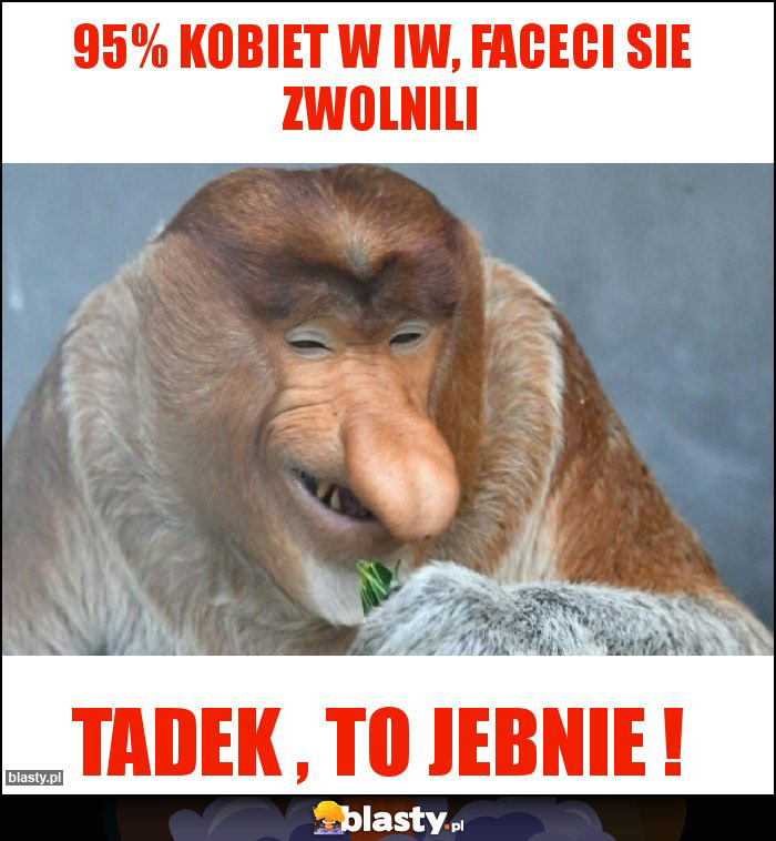 95% Kobiet w IW, Faceci sie zwolnili