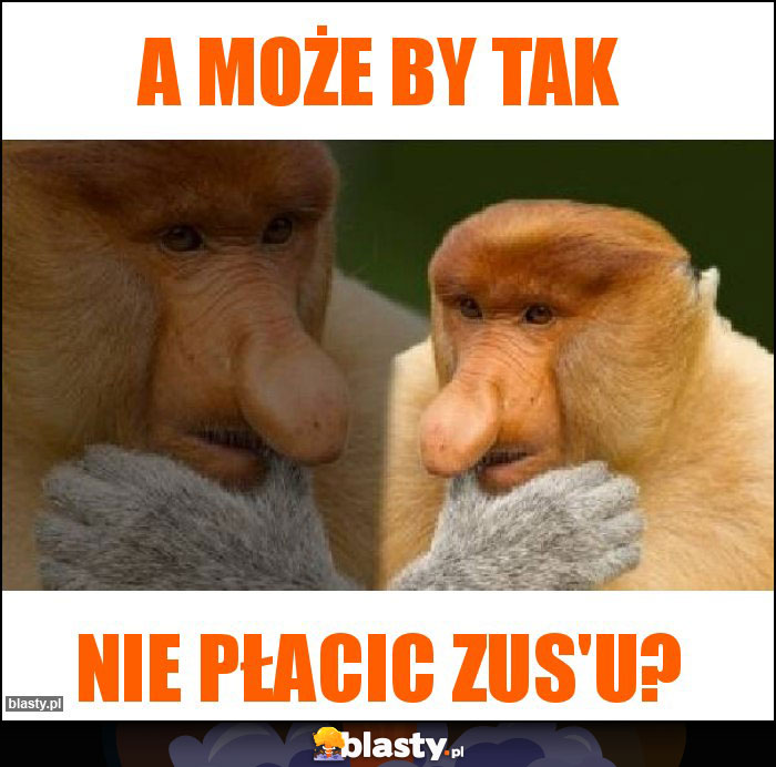 A MOŻE BY TAK