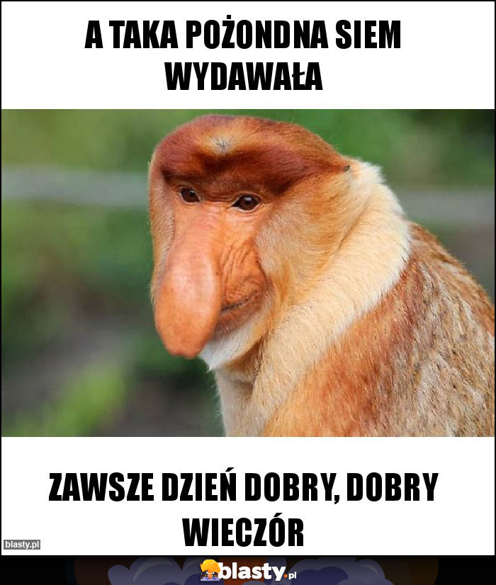 A taka pożondna siem wydawała