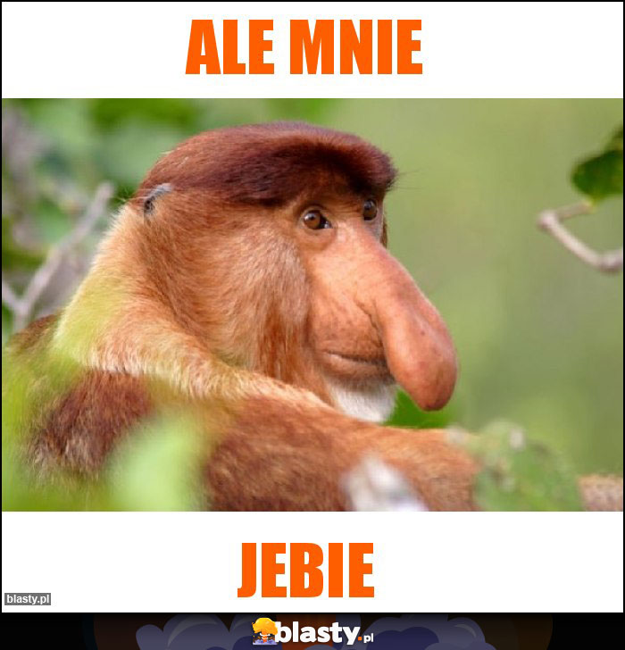 ALe mnie