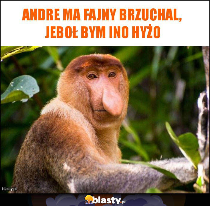 Andre ma fajny brzuchal,  jeboł bym ino hyżo