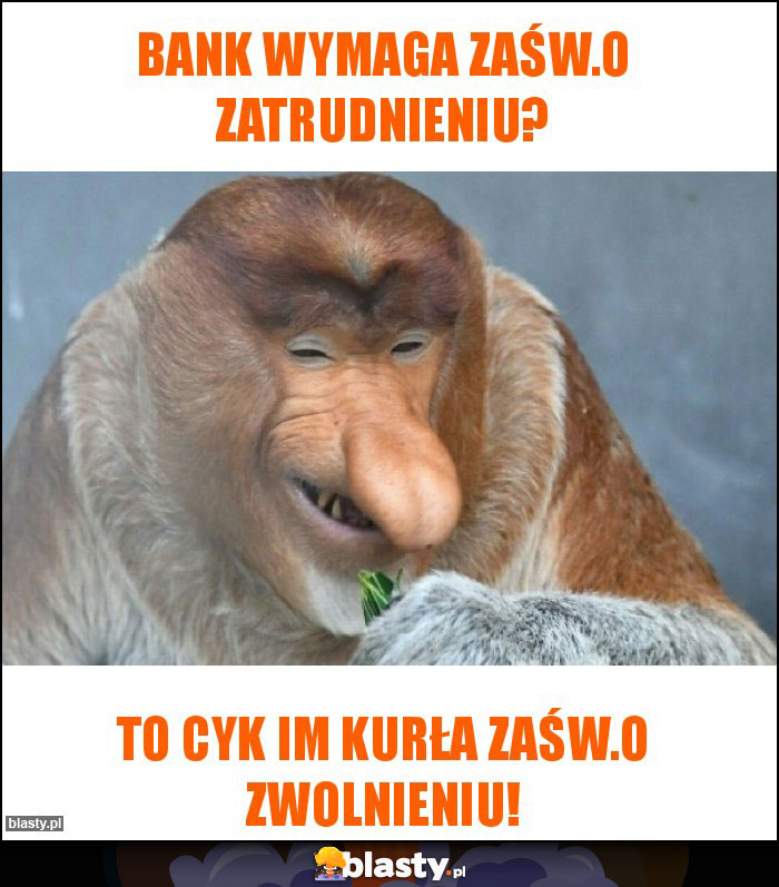 Bank wymaga zaśw.o zatrudnieniu?