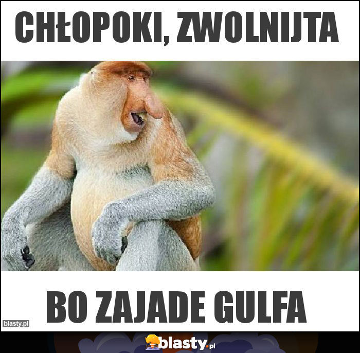 CHŁOPOKI, ZWOLNIJTA