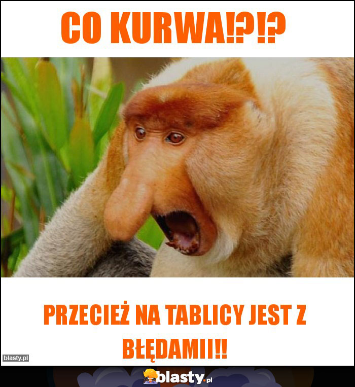 Co kurwa!?!?