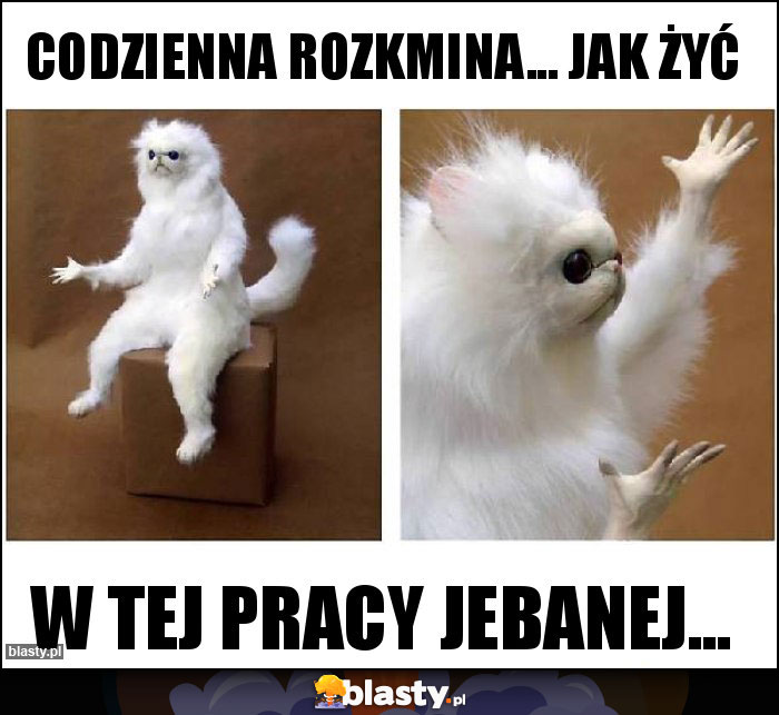 Codzienna rozkmina... Jak żyć