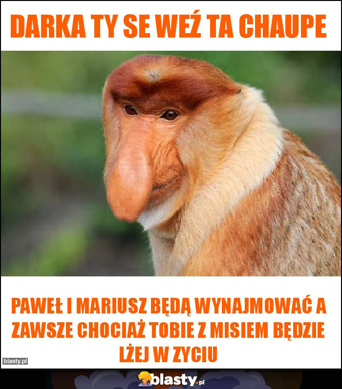 Darka ty se weź ta chaupe