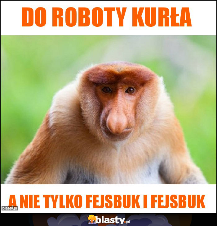 do roboty kurła