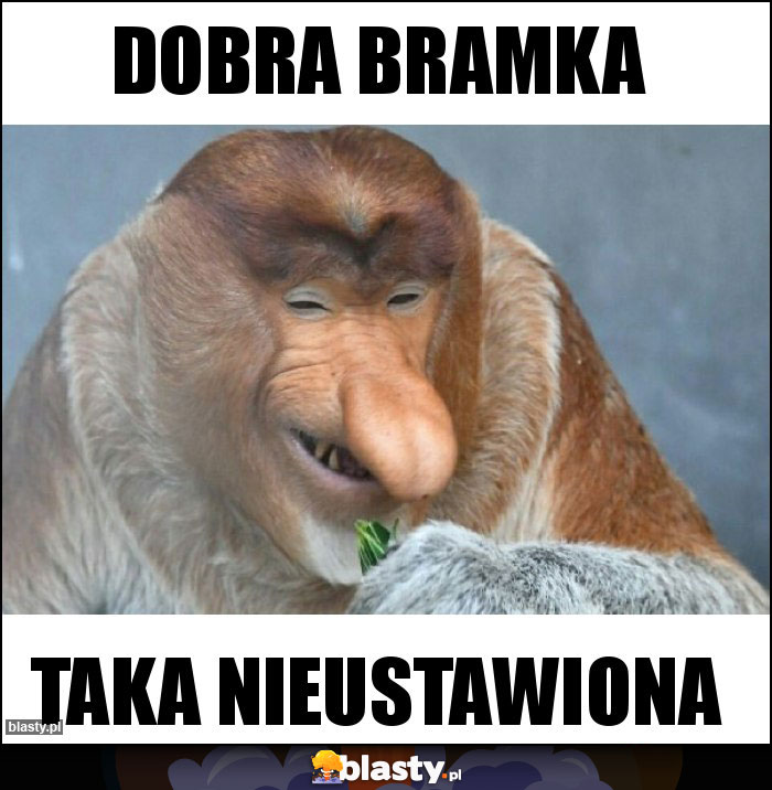 Dobra bramka