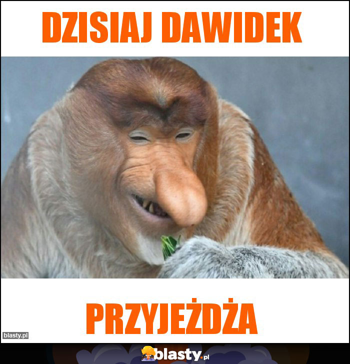 Dzisiaj Dawidek