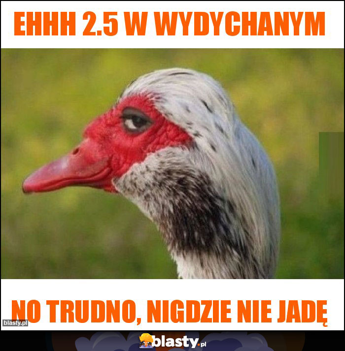 Ehhh 2.5 w wydychanym